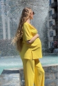 Костюм для беременных и кормящих 2307(2184) 1447 Желтый Dianora 5